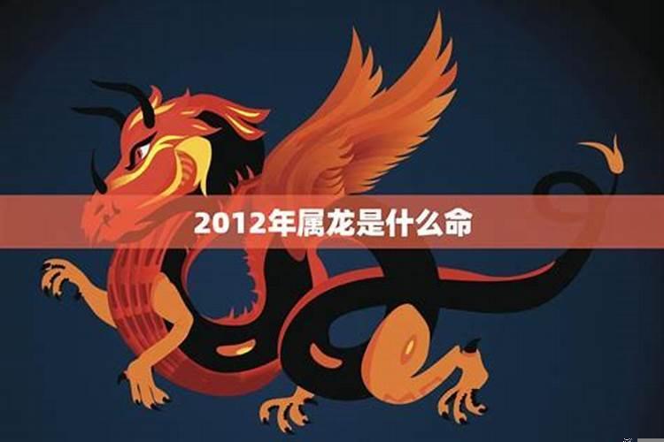 2012年属龙的男孩学业