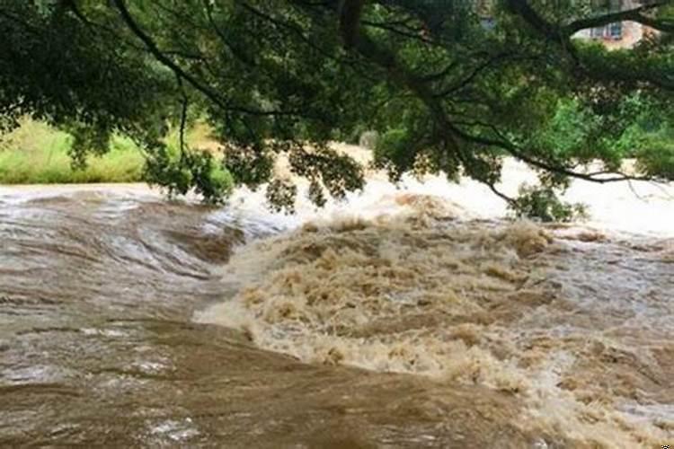 梦见发大水死人了是什么征兆