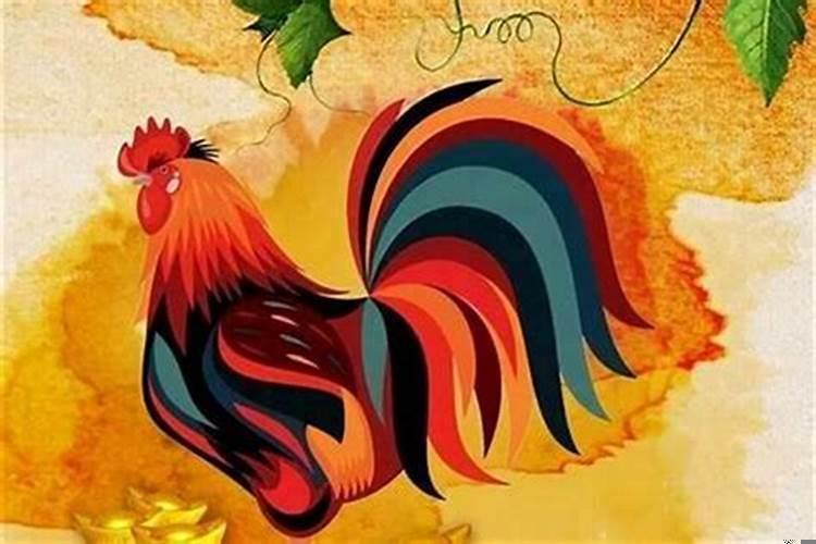 属鸡的人晚年命运怎样