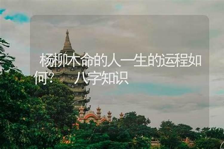 木命人何时交运