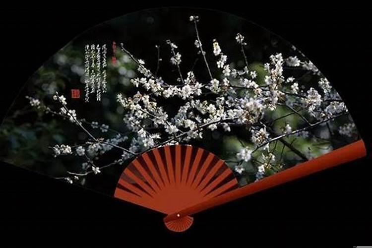 梅花三弄是指哪个生肖