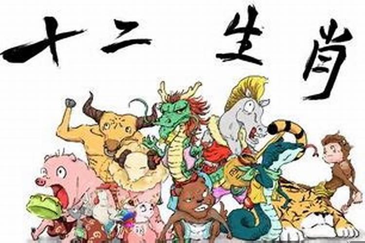 十二生肖哪个最高傲