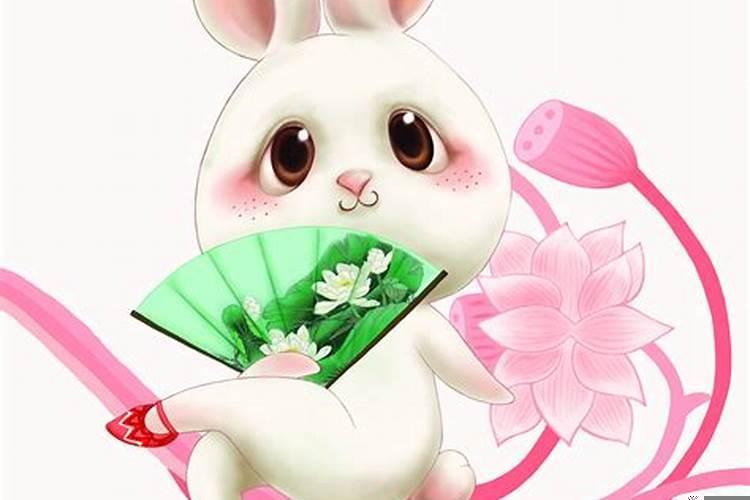 属兔男的和什么属相最配婚姻最合适