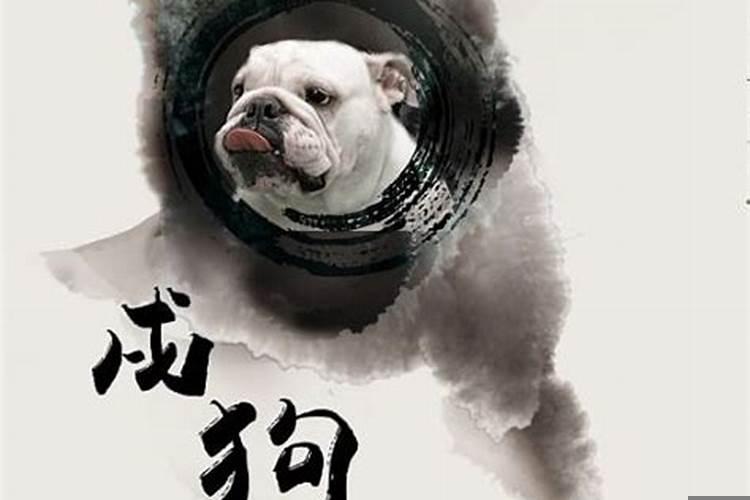 属狗七月十二出生命运如何