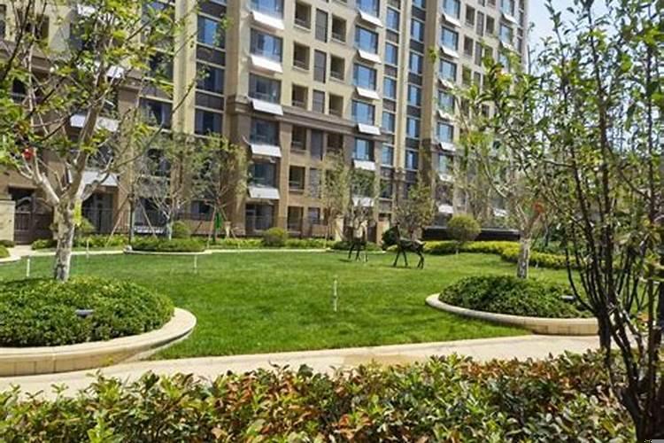 11层洋房2楼住户体验