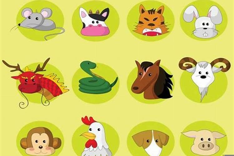 2022年属什么生肖是什么年