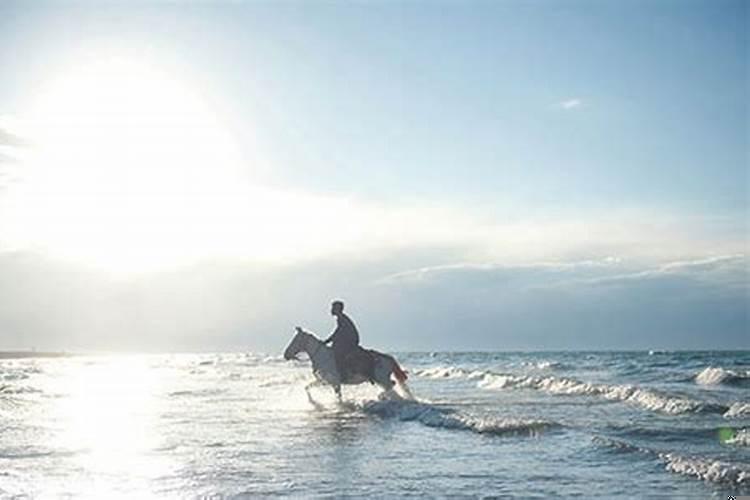 做梦梦见骑马是什么意思