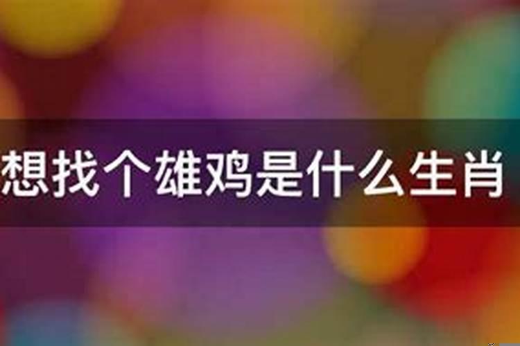 心想找个发财是什么生肖