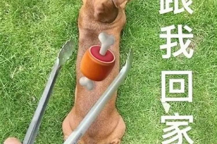 梦见和陌生男人是我老公出轨