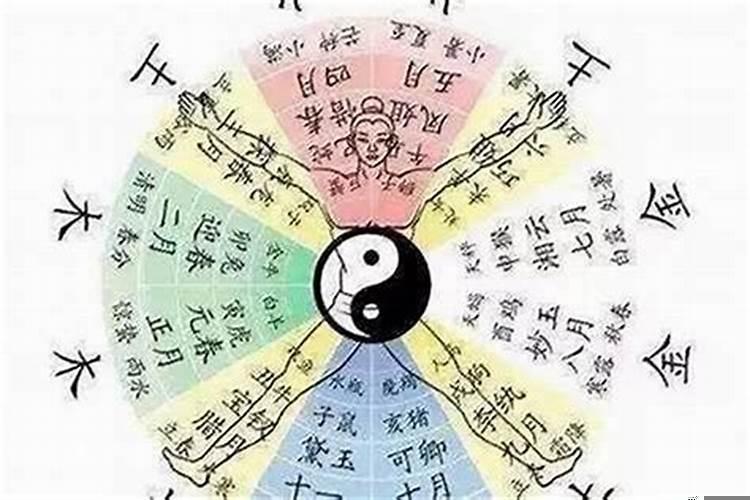 八字怎么看学什么专业