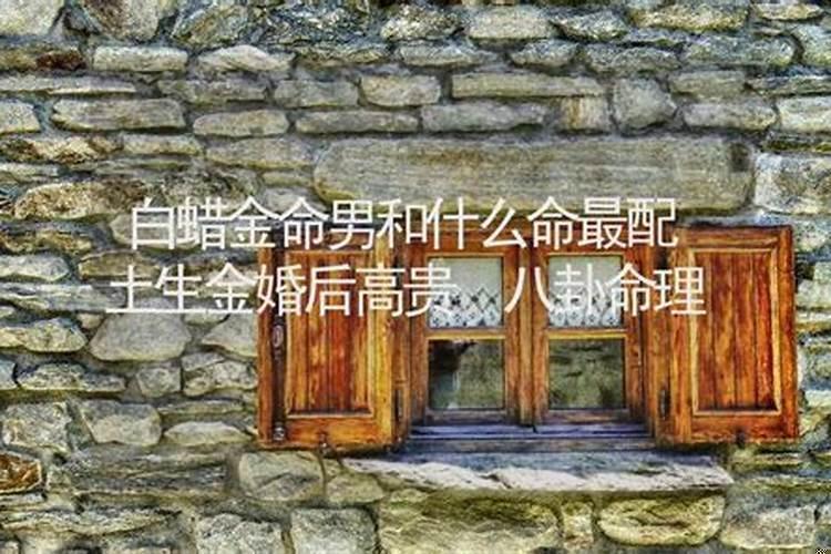 白蜡金命和什么命不配