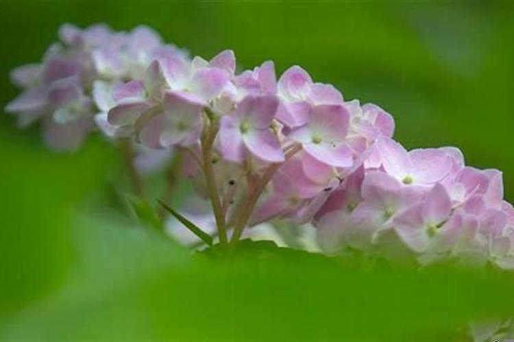 十二星座做错事后