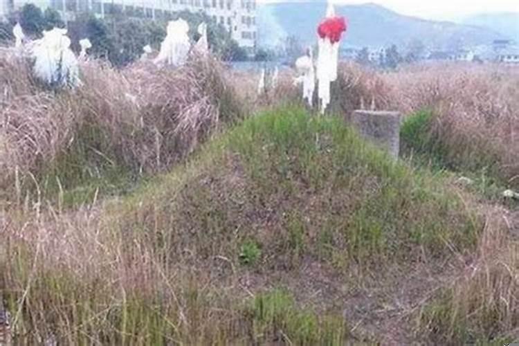 坟头上长的草能不能拔