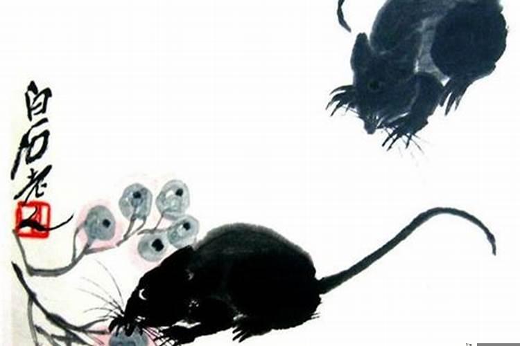 甲午时冲鼠煞北