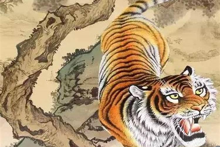 属虎的今日财运偏财运