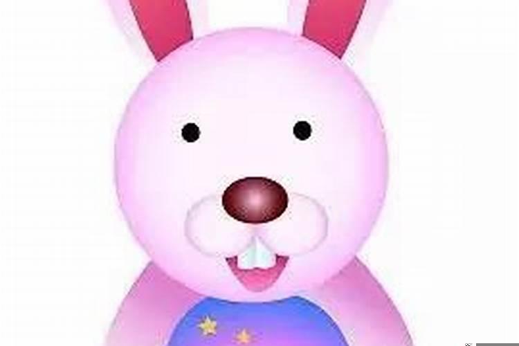 87年兔33岁的婚姻