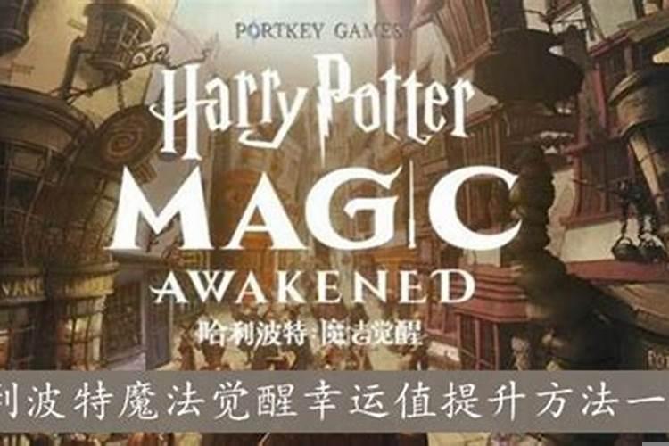 哈利波特40幸运值能提高多少