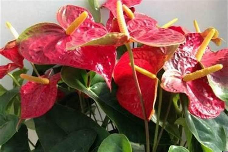 女人如何事业有成