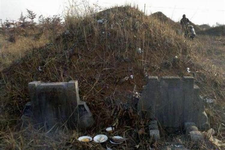 坟头上长的草能不能拔