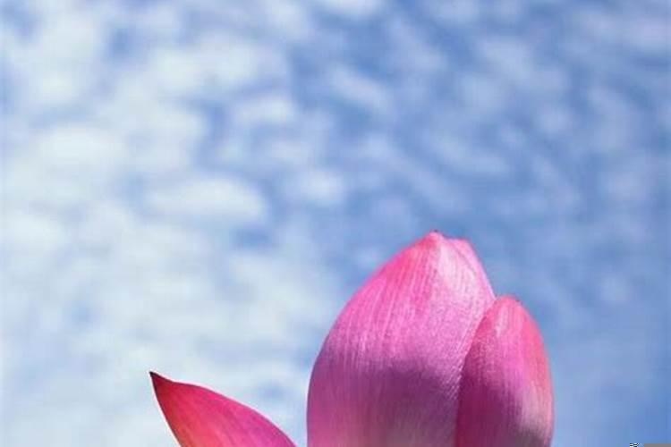 女人如何事业有成