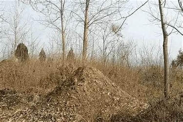 祖坟树碑有什么讲究