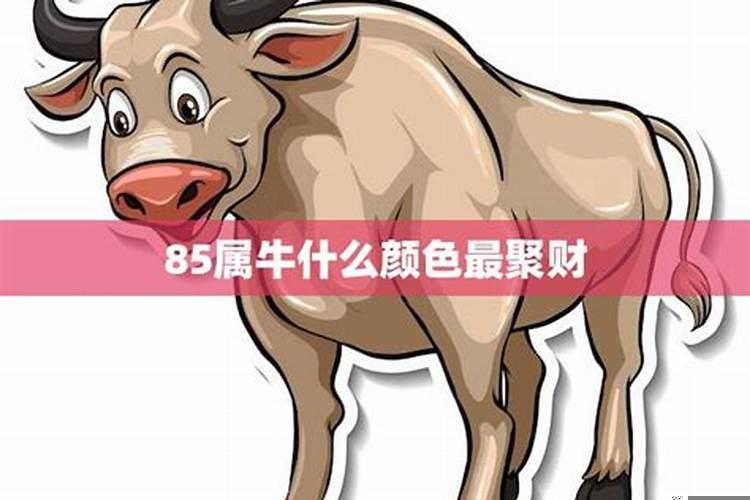 属牛人忌什么颜色