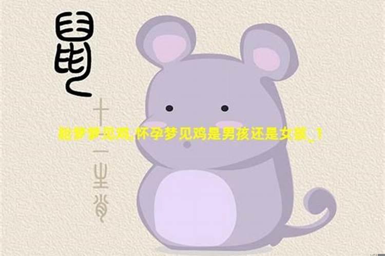 怀孕梦到大公鸡是男孩女孩