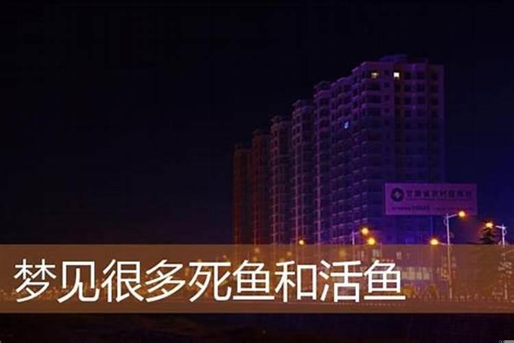 梦见很多死鱼是什么意思