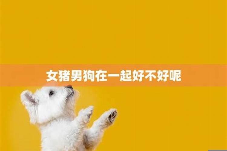 男狗和女猪在一起好不好