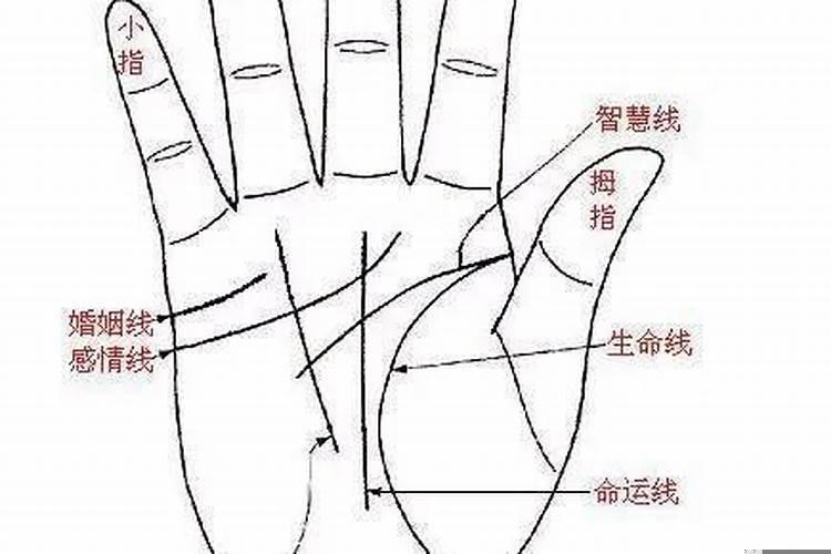 婚姻线女性看左手还是右手