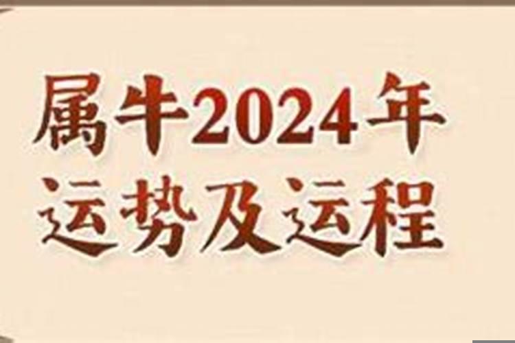 2025年属牛人的全年每月运势