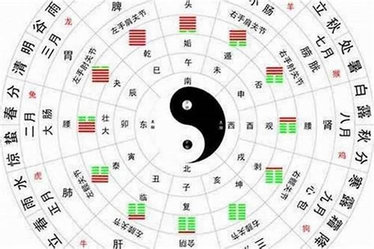 地支五行怎么来的