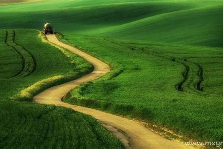 梦见两个女人意味着什么?