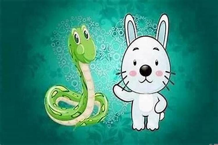 女属兔和蛇相配婚姻如何