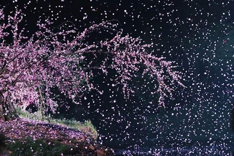 夫妻一个人先走了是缘分尽了吗