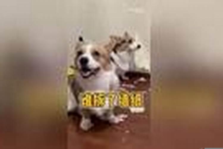 小人一般表现在哪几个方面呢