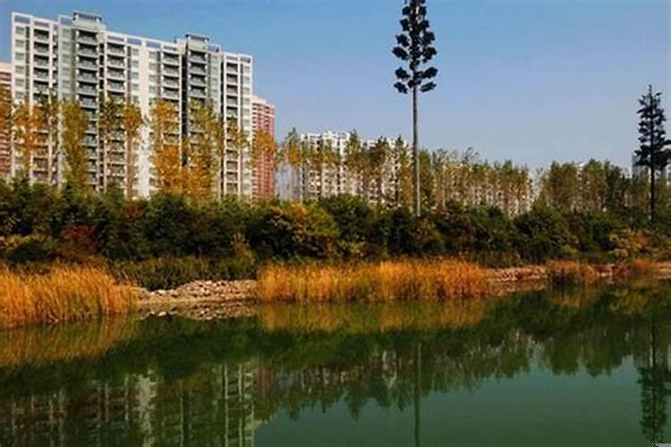 家中的风水常识