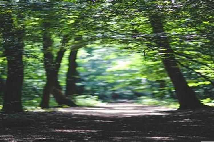 2020年几月份提亲最好