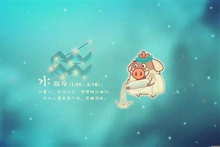 水瓶座独立有主见吗