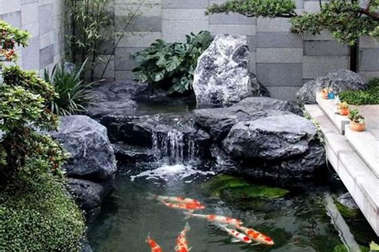 庭院鱼池深度多少