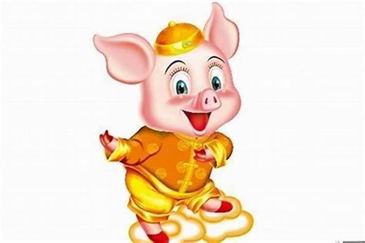 属猪人幸运颜色是什么