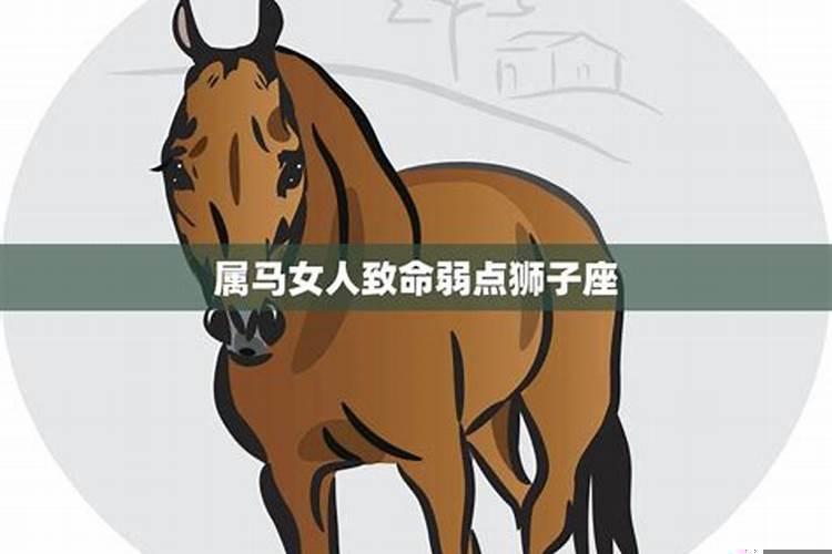 属马狮子女性格弱点