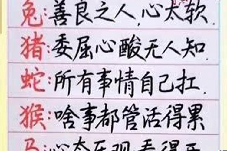 十二生肖哪个最累