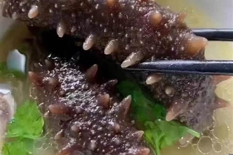 梦到抓海参是什么意思