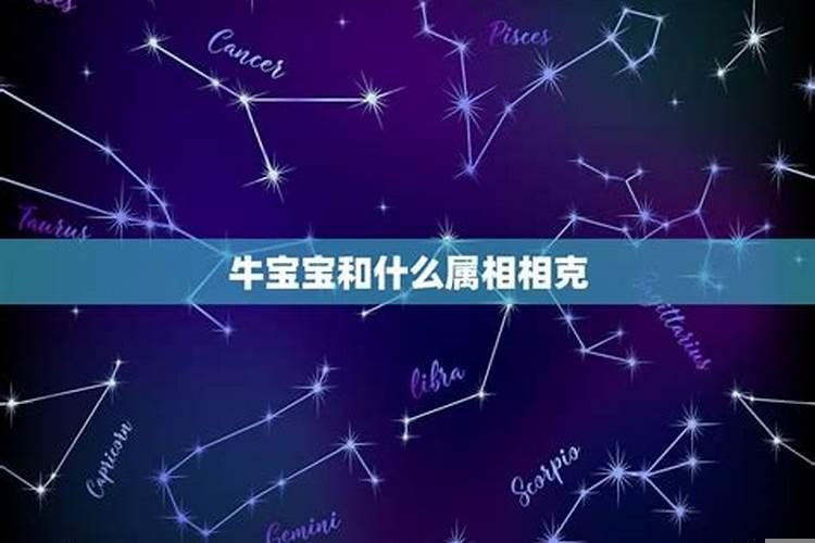 虎宝宝忌什么属相的父母