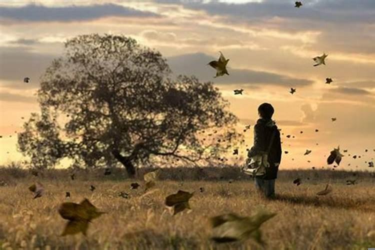 阳宅风水布局原则是什么呢