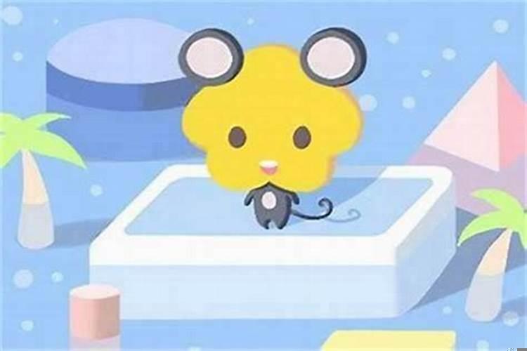 72年属鼠人今年投资可以吗