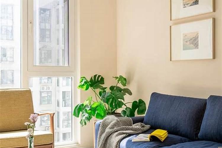 阳光太充足的房子什么不好