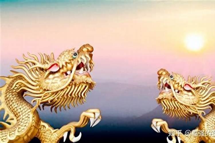 属龙本命年好不好