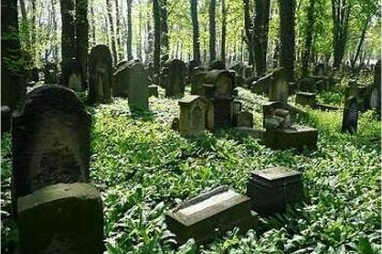 梦见好多坟墓是什么意思还在远处洒尿